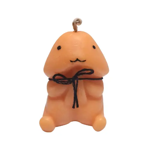 Vela Erotica -Aromatica y Divertida